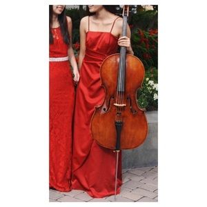 David’s Bridal red gown
